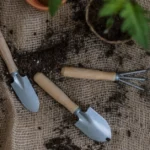 Best Soil for Indoor Plants